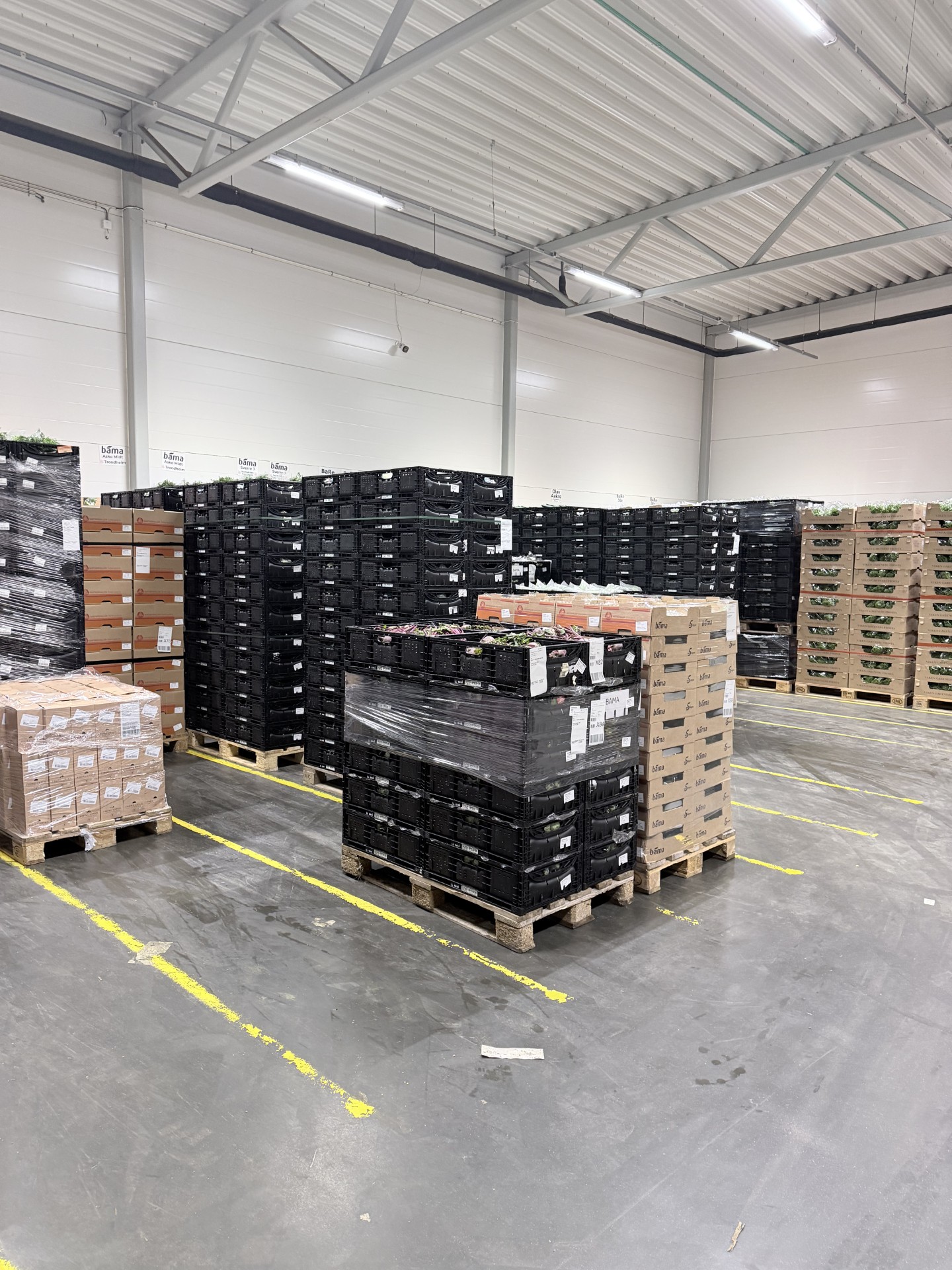 Samlastterminalen på Frosta med paller og kasser klare for utlevering